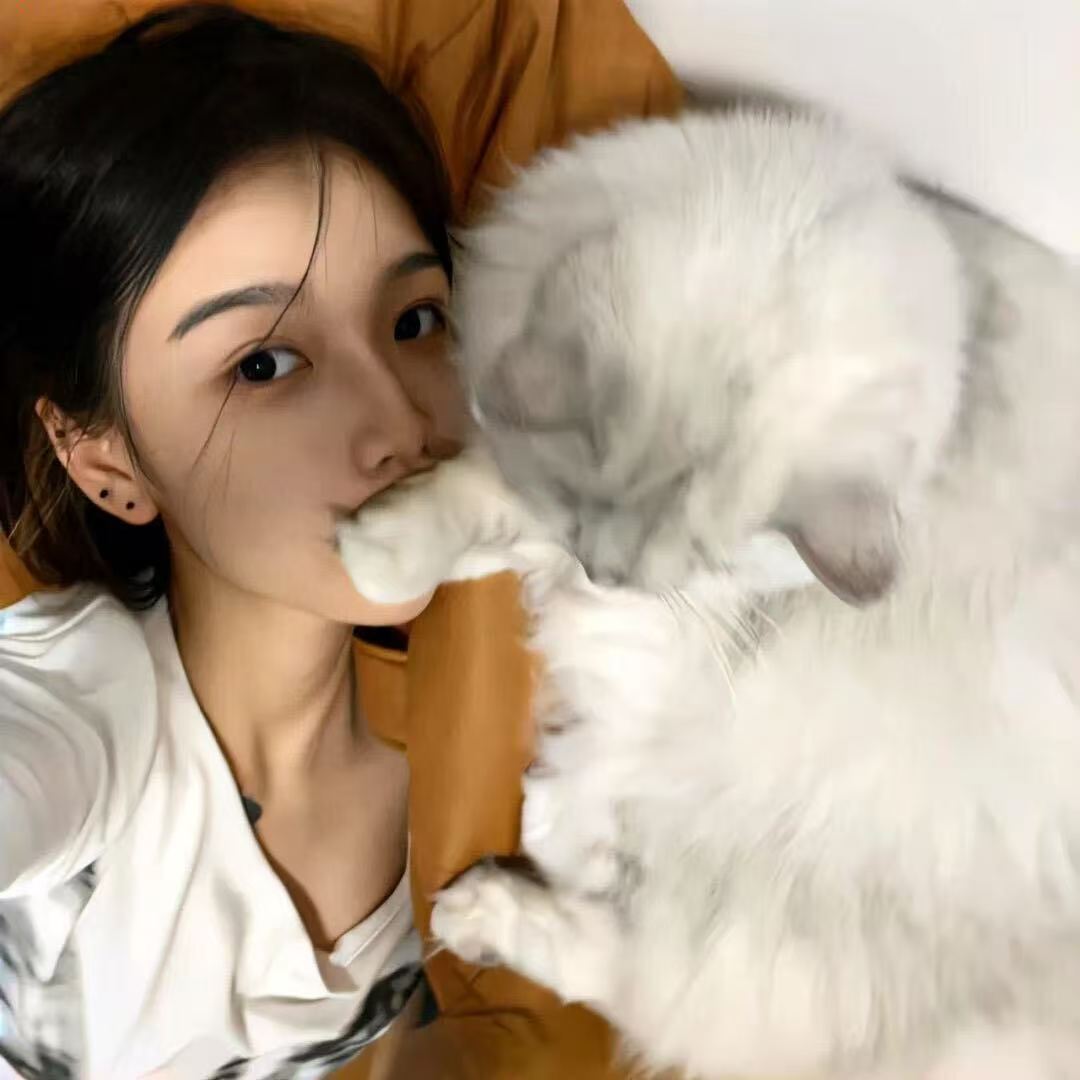 陈雅